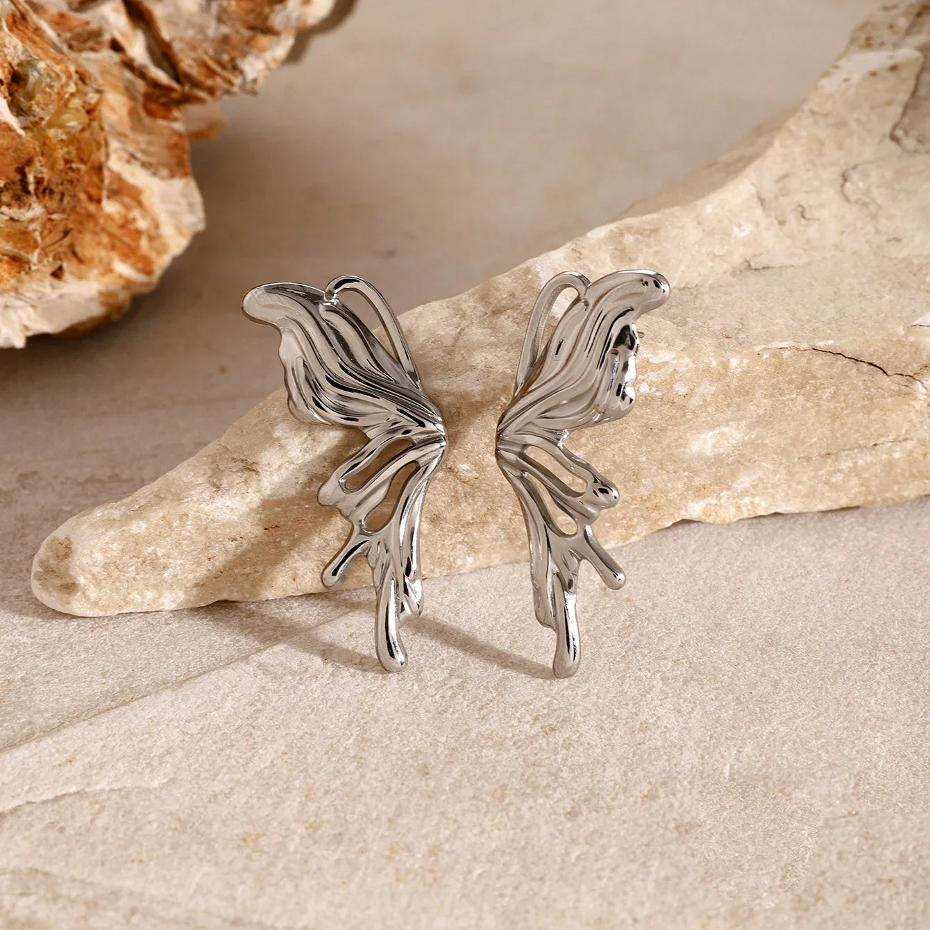 Devotion Silver Earrings