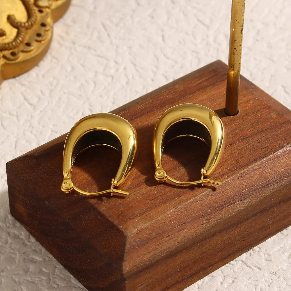 Infinite Hoop Earrings